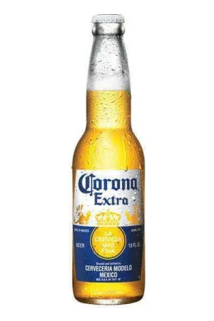 Beer IM Corona Btls 24pk Point Wine Spirits