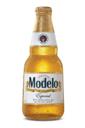 Beer IM Modelo Btls 6pk Point Wine Spirits