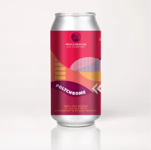 Beer RI Proclamation Ale Co 4pk Polychrome Point Wine Spirits