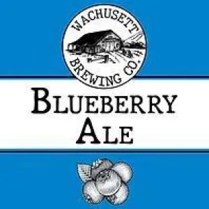 Beer Wachusett Brewing Co. 12pk Can Blueberry 08413 Point Wine Spirits
