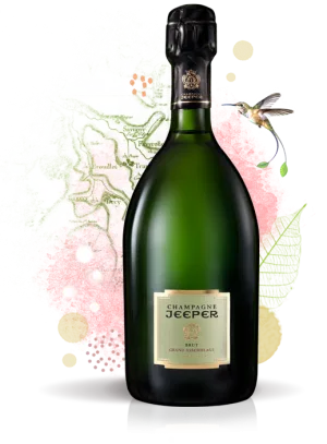 Champagne Jeeper Brut Point Wine Spirits