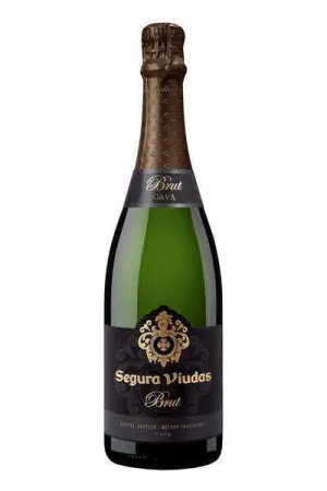 Champagne Segura Viudas Point Wine Spirits