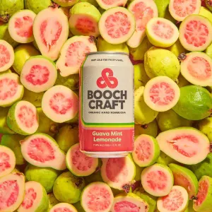 Kombucha BoochCraft 6pk Seasonal Guava Mint Lemonade Point Wine Spirits