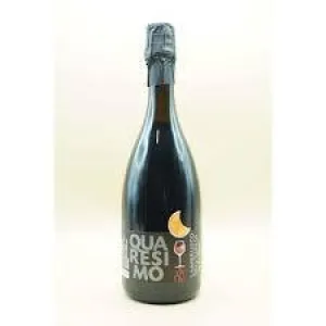 Lambrusco La Collina dell Emilia Quaresimo Organic Point Wine Spirits