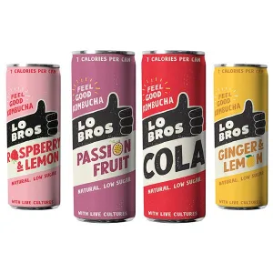 Lo Bros Kombucha 250ml - Four flavours to choose from