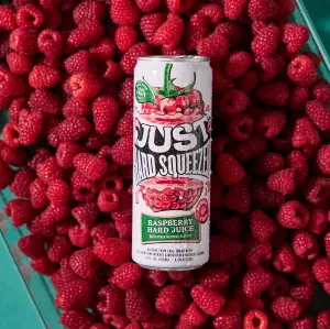Malt Just Hard Squeezed 6pk Raspberry Point Wine Spirits