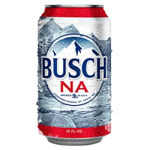 NA Busch 6pk cans Point Wine Spirits