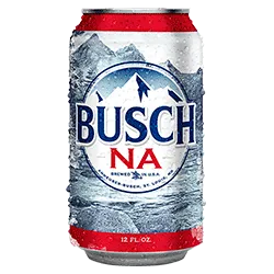 NA Busch 6pk cans Point Wine Spirits