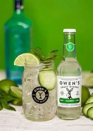 NA Craft Mixer Owen's Mint Cucumber & Lime Point Wine Spirits
