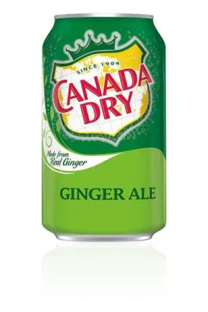 NA Drinks 12pk Canada Dry Ginger Ale Point Wine Spirits