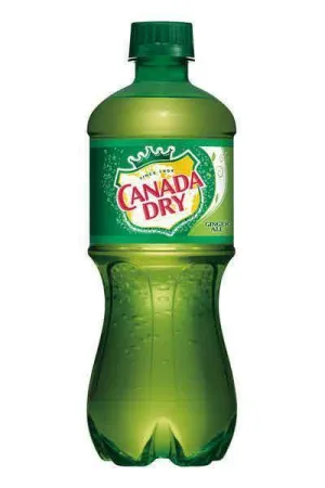 NA Drinks 20oz. Canada Dry Ginger Ale 127756 Point Wine Spirits