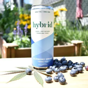 NA THC Cocktail Hybrid 4pk Blueberry Dream Point Wine Spirits