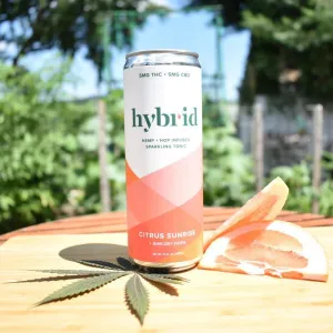 NA THC Cocktail Hybrid 4pk Citrus Sunrise Point Wine Spirits