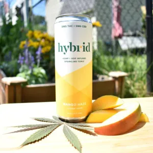 NA THC Cocktail Hybrid 4pk Mango Haze Point Wine Spirits