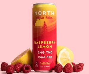 NA THC Cocktail North Higher Vibes 4pk Raspberry Lemon Point Wine Spirits