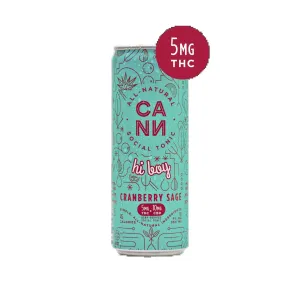 NA THC Cocktail SINGLE CANN hi boy Cranberry Sage Point Wine Spirits