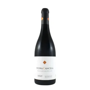 Pedra Cancela Seleccao do Enologo Red Taylors Wines