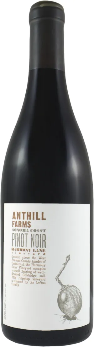 PN Anthill Farms 2020 Anderson Valley Abbey-Harris Vineyard Point Wine Spirits