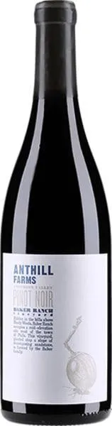 PN Anthill Farms 2020 Anderson Valley Baker Ranch Vineyard Point Wine Spirits