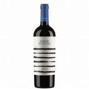 Red wine Andes Plateau 'Cota 500' 750ml Point Wine Spirits
