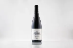Red Wine Armand Heitz 2021 Bourgogne Rouge Point Wine Spirits