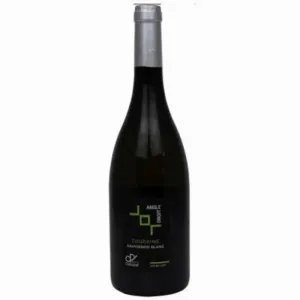 SB Domaine Delobel Touraine Point Wine Spirits