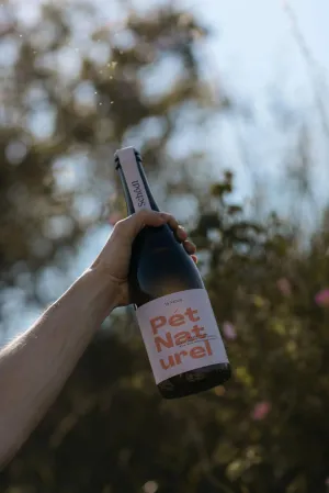 Sparkling Rose Schodl Pet Natural Point Wine Spirits