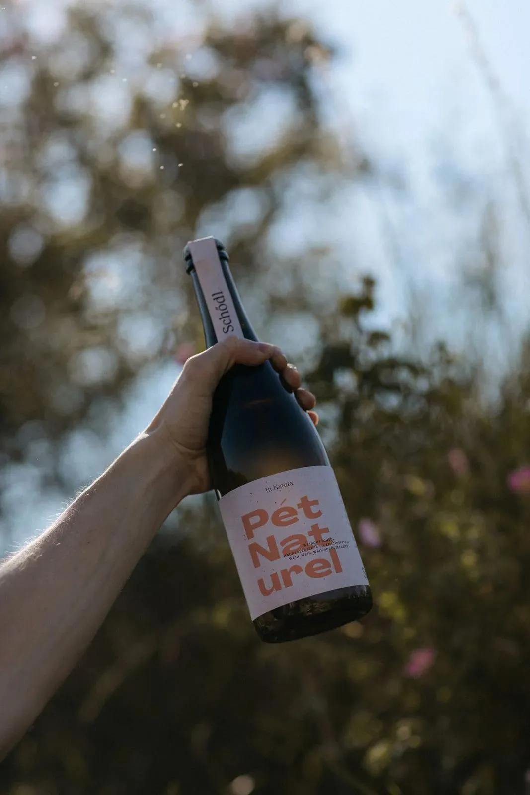 Sparkling Rose Schodl Pet Natural Point Wine Spirits